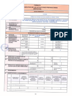 RESUMEN_EJECUTIVO_PES_NRO._28_20200722_185011_571