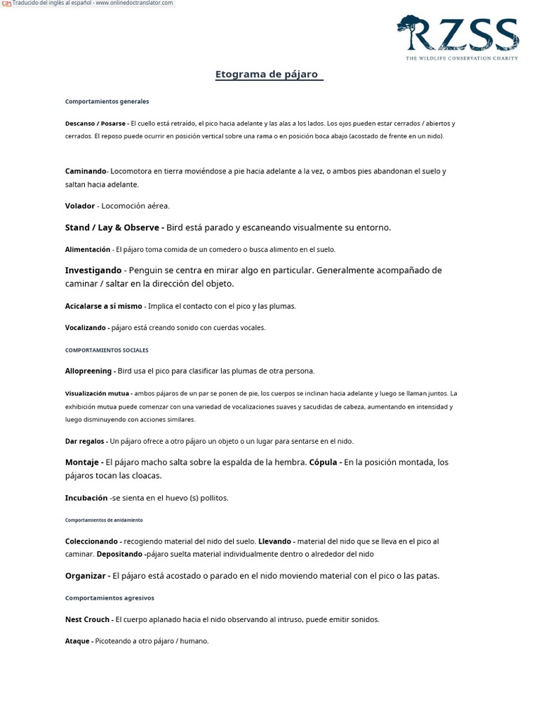 Bird Ethogram - En.es | PDF | Aves | Ornitología