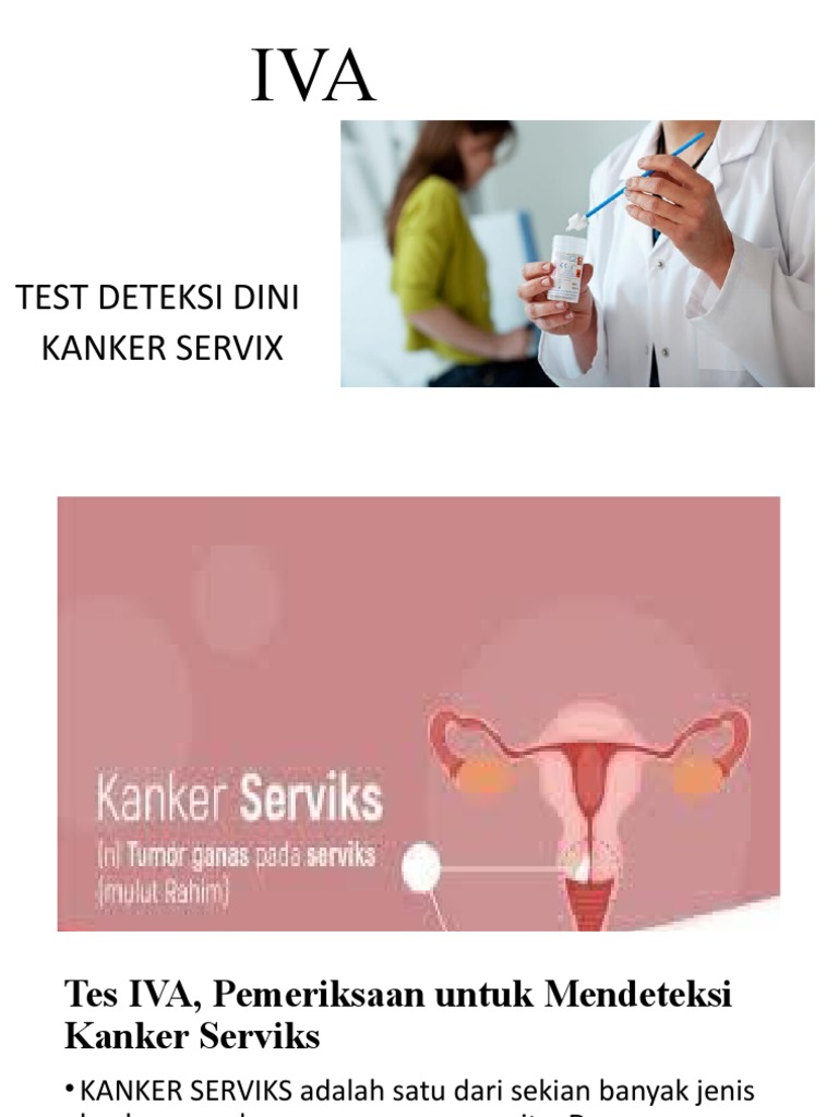 Test IVA | PDF