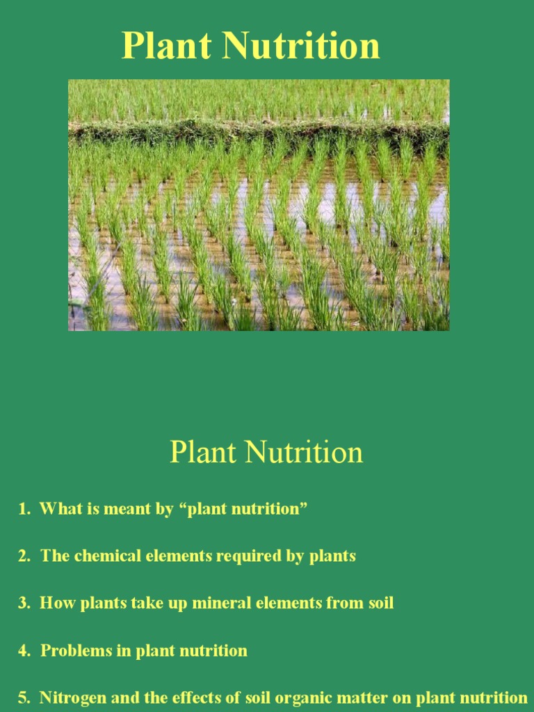 plant-nutrition-pdf-plant-nutrition-botany