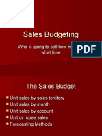 Sales Budgeting