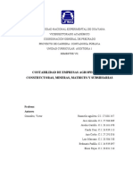 Informe de C. Aropecuaria, Mineras, Constructora Matrices y Subsidiarias