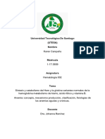 TEMA II Sintesis y Catabolismo Del Hem y La Globina