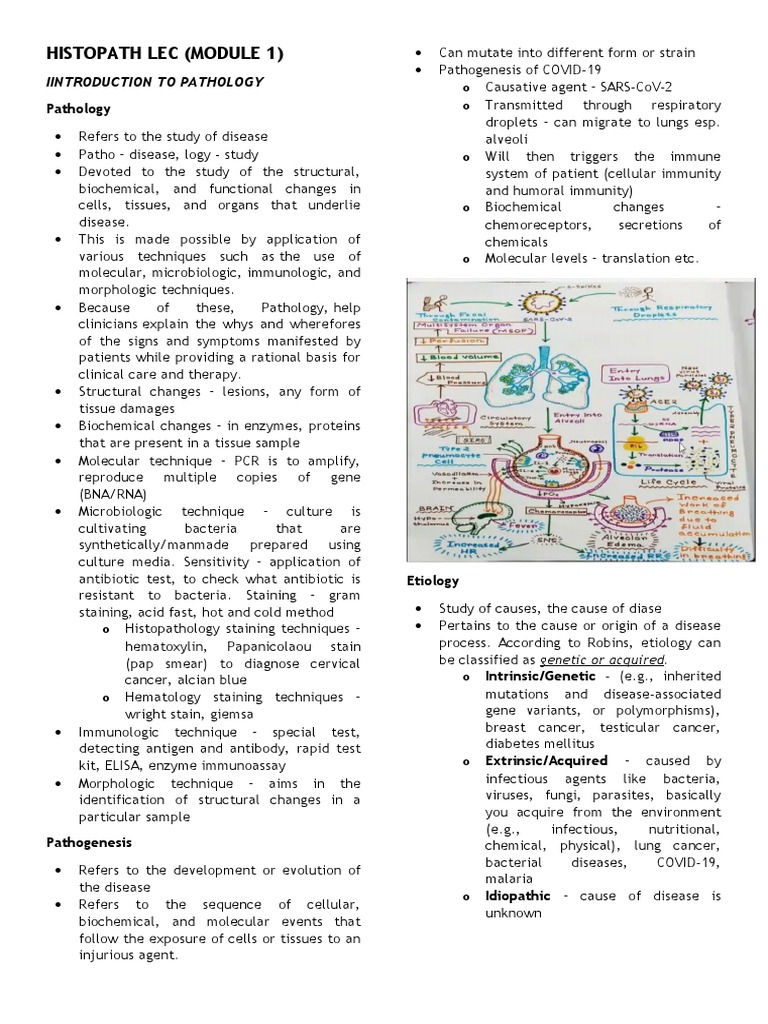 Histopath Lec (Module 1) : Iintroduction To Pathology | PDF | Atrophy ...