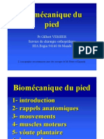 Biomecanique Du Pied