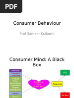 Download Consumer Behaviour by Professor Sameer Kulkarni SN531979 doc pdf
