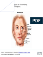 Ligaments of The Face in The Form of Grooves.: Figure 5 Stigmata of Facial Aging As They Relate To Retaining