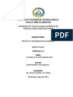 Estructura de Informe Proyecto PIS Lechuga