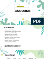 Glucolisis_EQUIPO_4