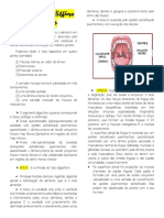 Histologia Do Sistema Digestório Aula1