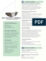 Ing. Octavio Carrilo: Datos Personales