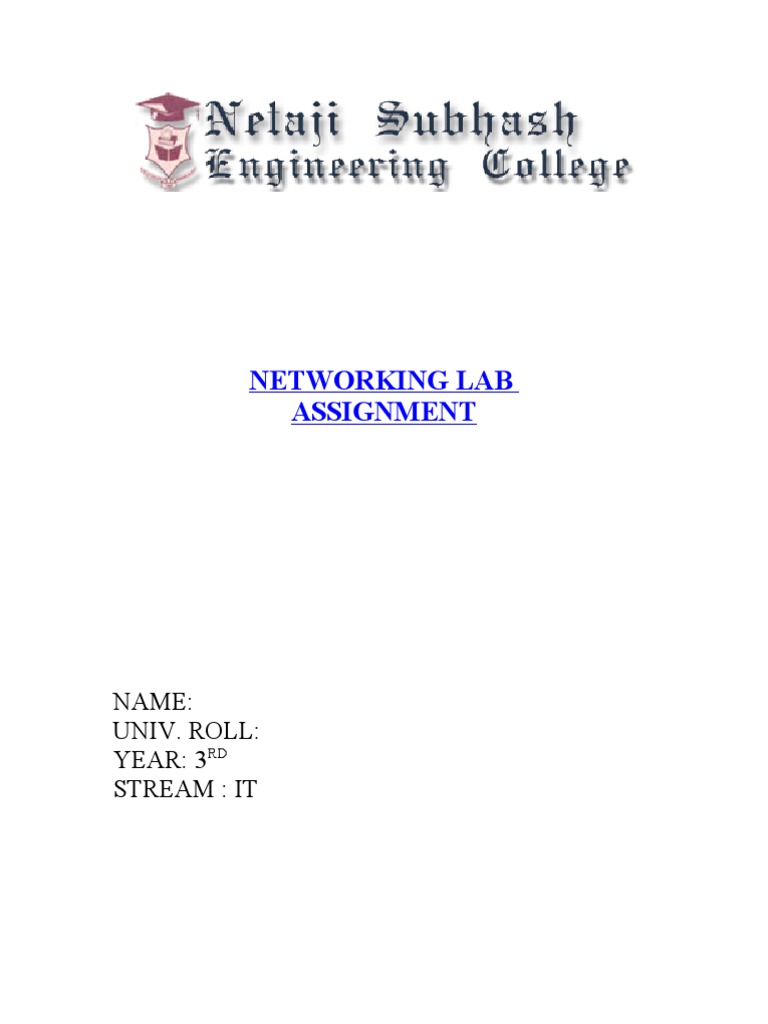 Networking Lab Assignment Name Univ. Roll Year 3 Stream It PDF