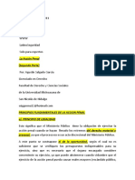 La Accion Penal, Principios Fundamentales de La Accion Penal