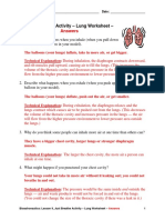 How lungs work - inhale and exhale explained