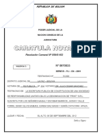 PDF Testimonio