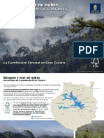Certificación bosques Gran Canaria protegen agua