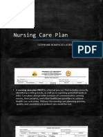 Nursing Care Plan: Stephanie Bonifacio Ladero, RN, MSN, JDC
