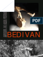 MAVG - Cristian Paul Bedivan