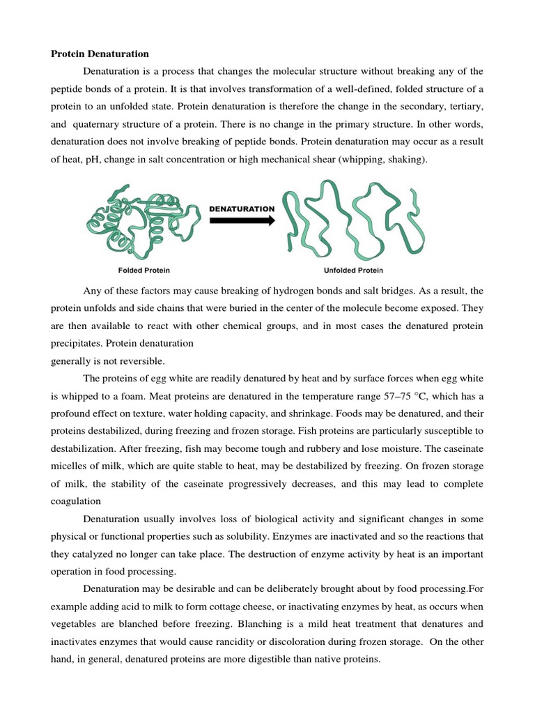 Understanding Protein Denaturation | PDF | Denaturation (Biochemistry ...