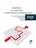 PDF Guia Practica Del Asesor y Orientador Profesional Maria Luisa Sanche DD