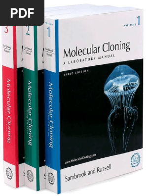 Sambrook Russel - Molecular Cloning, A Laboratory Manual - Vol. 1