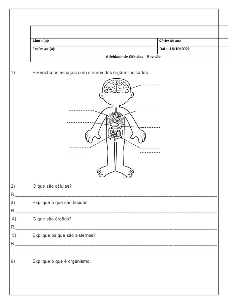 Atividade Ciências 4º Ano - Corpo Humano | PDF