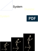 CHAPTER 5 Skeletal System