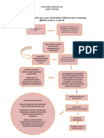 Modelo de Fluxograma Eapv