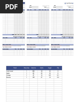 daily-food-log