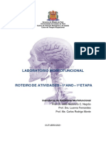 Laboratório Morfofuncional - TO-1o Semestre 2021 - Nervoso-Roteiro 4 (13,18,19 e 20-10-2021)