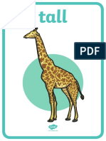 Au t2 e 044 Zoo Animals Adjectives Display Posters Ver 2