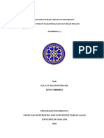 laporan-praktikum-fitohormon-pengaruh-etilen-padapematangan-buah-pisang-musa