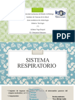 Sistema respiratorio y neumonía