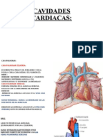 CAVIDADES CARDIACAS