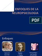 ENFOQUES DE LA NEUROPSICOLOGIA