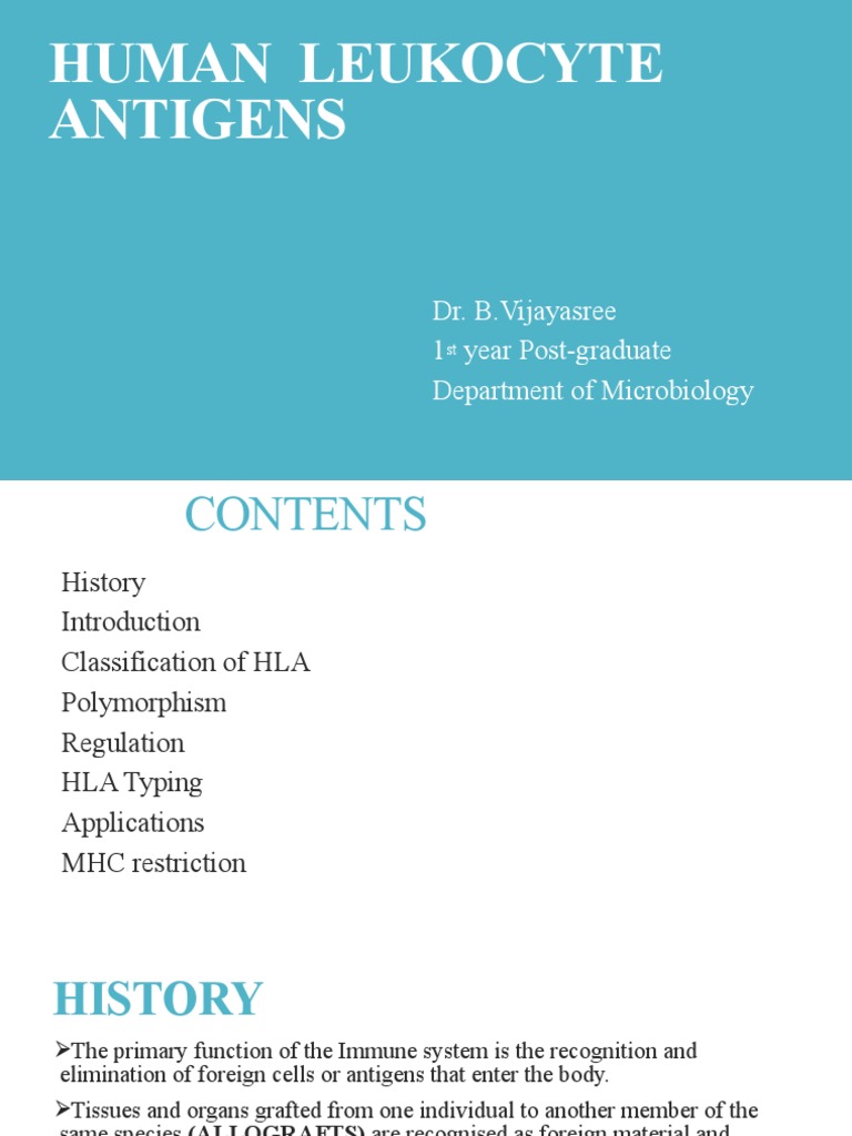 Hla Typing PDF Major Complex Human Leukocyte