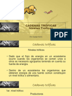 SEMANA 3 - Cadenas Troficas, Niveles Tróficos