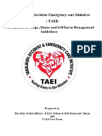 Taei Manual