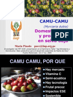 Camu Camu Domesticacion Produccion Selva Baja 2005 Keyword Principal