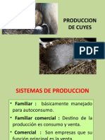 2 Sistemas de Produccion