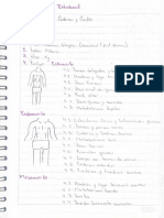 Examen Intra y Extrabucal