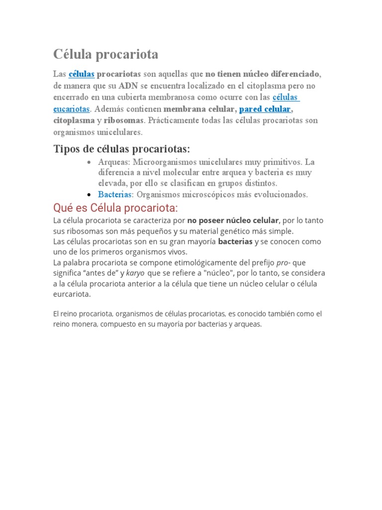 Características de las células procariotas | PDF | Biología Celular ...