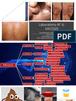 Laboratorio #6 Micosis