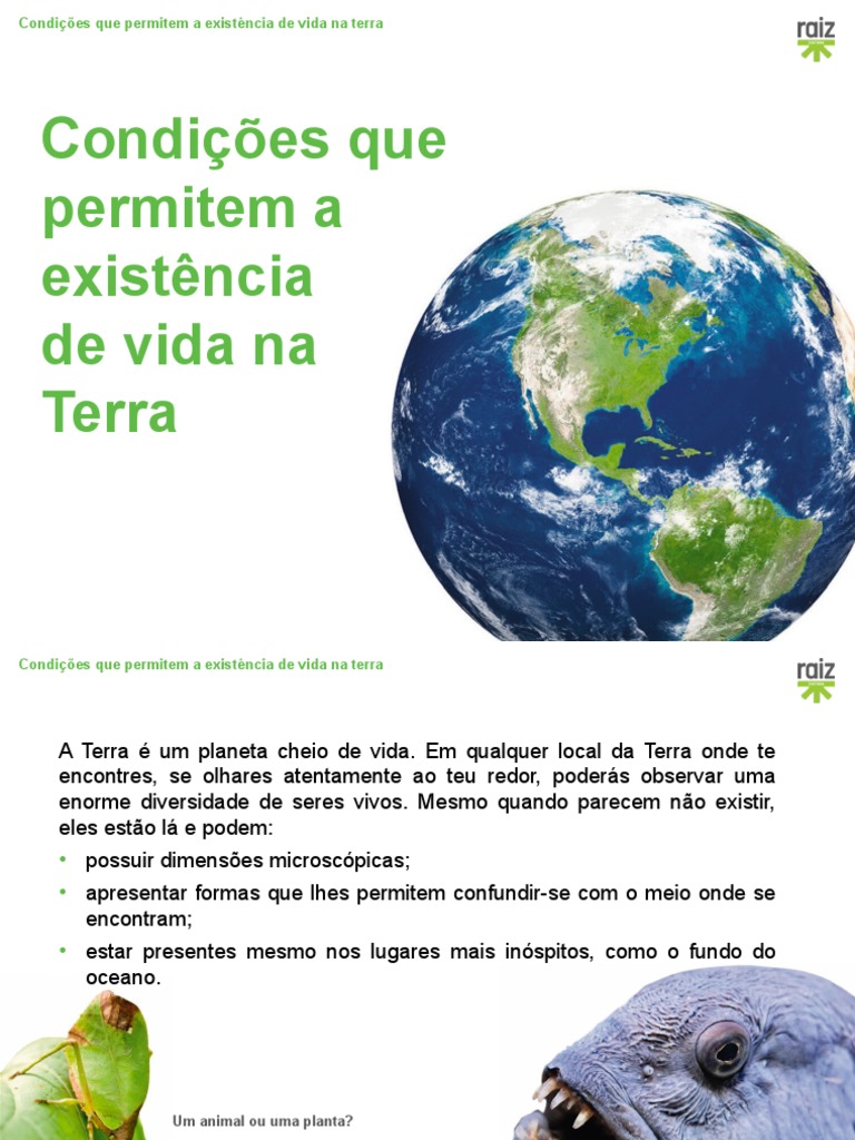 Condições Que Permitem A Existência de Vida Na Terra | PDF | Terra | Água