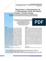 Parametros Hematologicos en Ratas