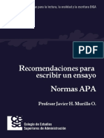 Recomendaciones para Escribir Un Ensayo Normas APA