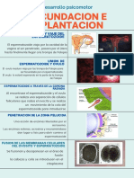 Fecundacion e Implantacion