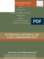 2panorama General de Los Carbohidratos.