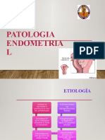 Patologia Endometrial