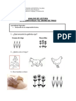 ANALISIS DE LECTURA La Gallinita Roja